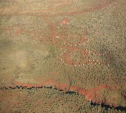 Karijini Nationalpark - Karijini Eco Retreat, Karijini Nationalpark